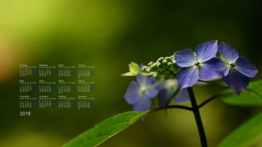 1244037 (a): :1920x1080